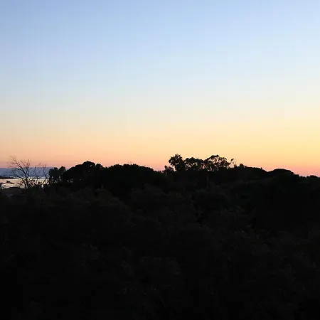 Apartment Corsica Bellezza - T2 Avec Piscine & Privee Pianottoli-Caldarello (Corsica)